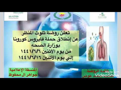 الحملة الاعلامية للتوعية بفيروس كورونا بمدارس مكتب تعليم بارق