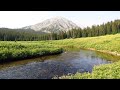 Day Hike the Alp Lake Trail - Yellowstone Ecosystem