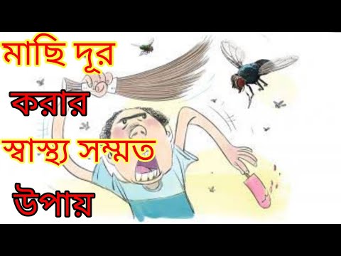 ভিডিও: কিভাবে একটি শস্যাগার মধ্যে মাছি পরিত্রাণ পেতে? গরু এবং অন্যান্য প্রাণীদের সাথে একটি শস্যাগার মাছি বিষ কিভাবে? বাড়িতে লোক প্রতিকারগুলি কীভাবে প্রক্রিয়া করবেন?