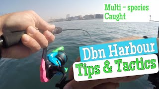 Fishing Durban Harbour, Tips & Tactics. South Africa, KZN. Loads of fish caught !!