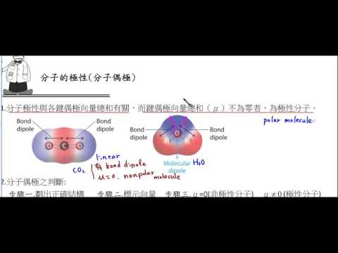 高中化學_選修化學(上)_分子的極性(分子偶極)【莫斯利高中自然科教學網】