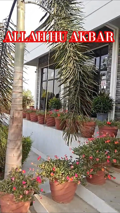 surat an nissa #bayan #islamicscripture #allah #motivation#allbayan#yt #quotes #quranurdutranslation