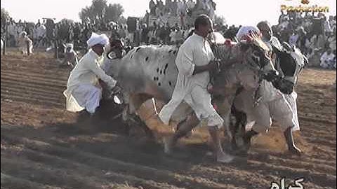 vlc record 2016 03 27 18h40m18s VTS 01 1 VOB