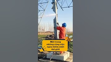 Một trong những công việc nguy hiểm nhất thế giới  #chuongvang #shorts