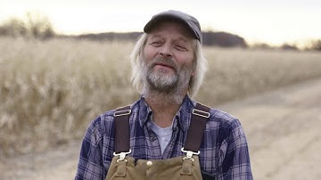 Benefits of Treating Problematic Weeds with a Herbicide Application