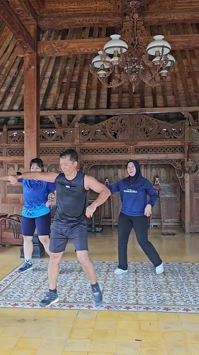 VIRAL BODYFIT AEROBICS