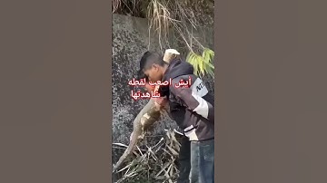 #تلاوات_نادرة #تلاوة_خاشعة #قرآن #قران #قران_كريم #أجمل_تلاوة #تلاوة_مميزة