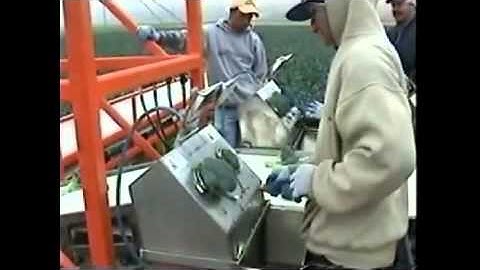 Broccoli Floreter  Field Operation - CharliesMachineandSupply.com