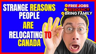 Top 6 Shocking Reasons Why You Should Move To Canada