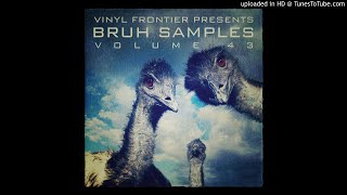 Video thumbnail of "Vinyl Frontier Presents BRUH Samples Vol. 43: Track #1"