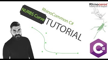 8.Nurbs Curve Class