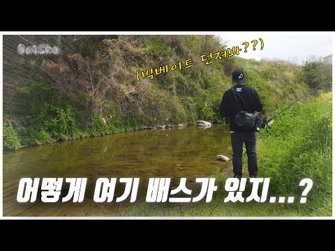 벌레부터 빅베이트까지 배스 반응이 너무 좋은데?? [feat. 박성완] korea bass