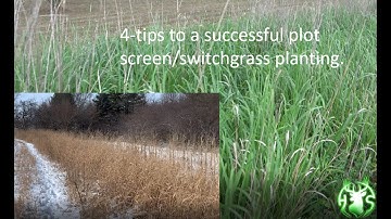 HS360 2022 A revisit to the combination sorghum plot screen and switchgrass planting.