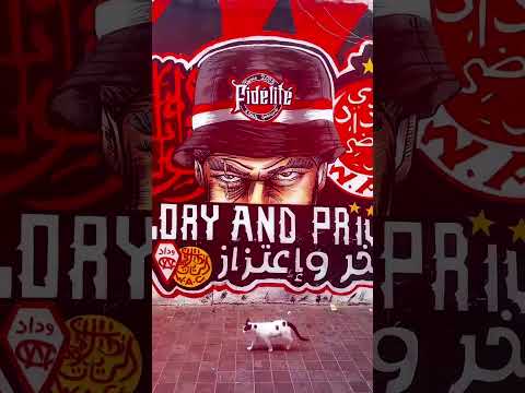 أغنية خاصة تحت عنوان حكيم زياش بدار الكبيرة سينا فالوداد