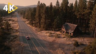 Download lagu This Forest Thriller Will Keep You Up All Night | The Beast | Full Movie