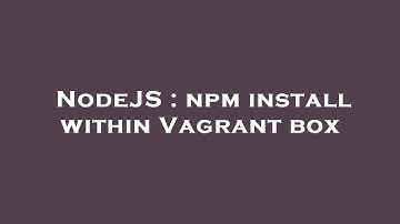 NodeJS : npm install within Vagrant box