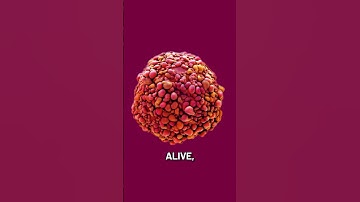 World Cancer Day - Cancer Drug Testing without Patients