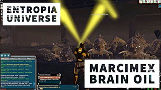 Entropia Universe: 1 PED HoF Marcimex Brain Oil