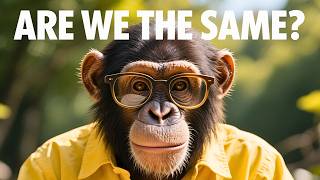 Are PRIMATES Just Like Us? The Shocking Similarities