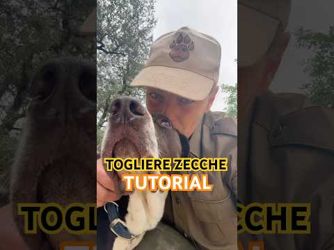 Video Come togliere le ZECCHE in modo SICURO
