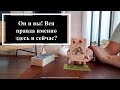 💙Он и вы❤️ Вся правда именно здесь и сейчас? Расклад на таро