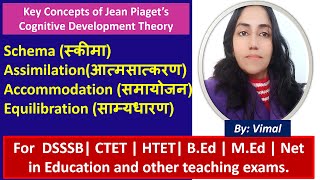 155. UNDERSTANDING PIAGET'S KEY CONCEPTS: SCHEMA, ASSIMILATION, ACCOMMODATION & EQUILIBRATION