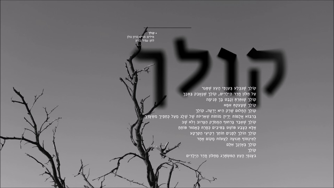 עמיר בניון - קולך