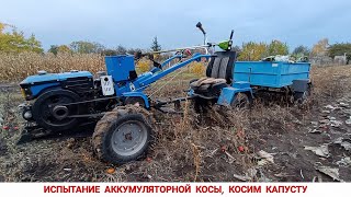 видео: ИСПЫТАНИЕ АККУМУЛЯТОРНОЙ КОСЫ PROCRAFT PTA38, ОТЗЫВ / TESTING OF THE BATTERY TRIMMER PROKRAFT PTA38 картинка: ИСПЫТАНИЕ АККУМУЛЯТОРНОЙ КОСЫ PROCRAFT PTA38, ОТЗЫВ / TESTING OF THE BATTERY TRIMMER PROKRAFT PTA38