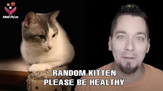 New Update situation of Steve Cash's pets after 2.5 months, when Talking Kitty Cat' YouTuber Died.