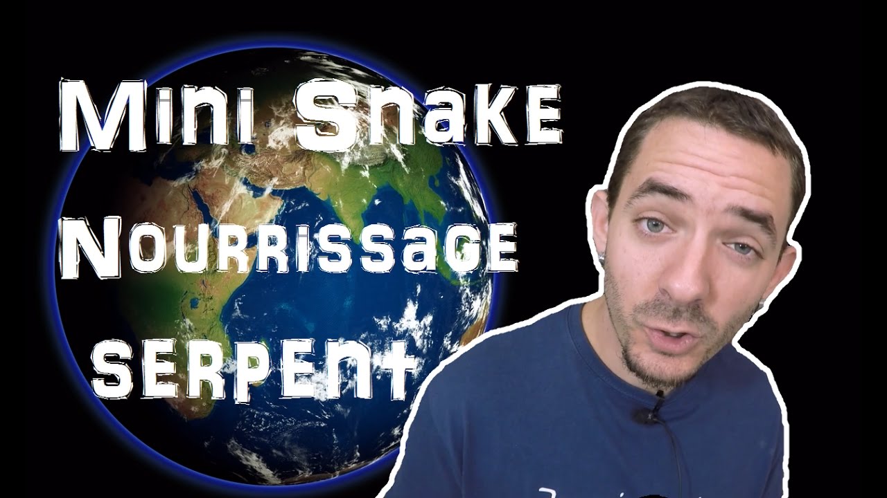 top movies on netflix Mini Snake #1 : Le nourrissage des serpents