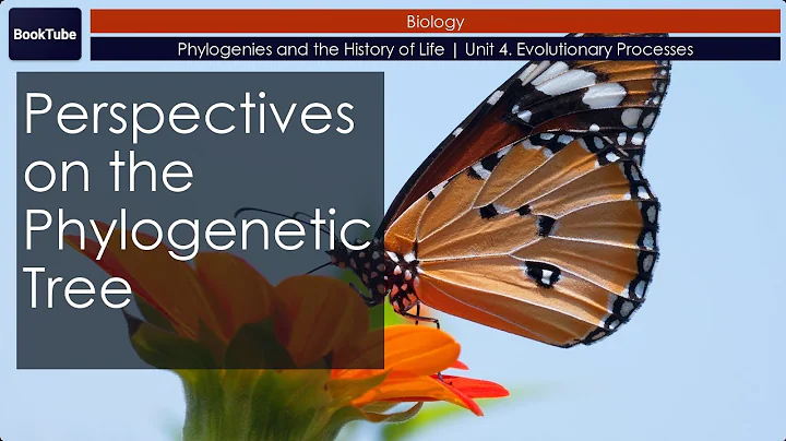Perspectives on the Phylogenetic Tree | Phylogenies and the History of Life