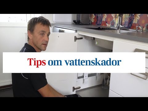 Video: 5 sätt att göra sig av med mat