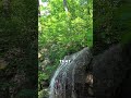 Up Close with Nature's Beauty: The Falls #shorts