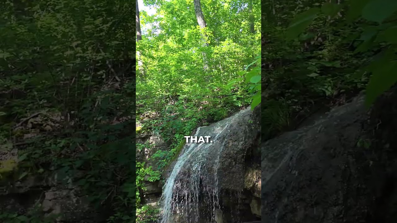 Up Close with Nature's Beauty: The Falls #shorts