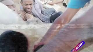 انصاف مدني و محمد بشير - النيل ترس - 2020 من قلبي سلام للخرطوم 🇸🇩🖤🙏🏻