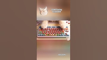 Satisfying ASMR Typing Keyboard  #cat #asmr #ai #satisfying #cute #aiasmr #relaxing #asmrsounds #fyp
