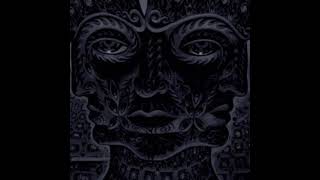 Vicarious - Tool (Slowed + Reverb)