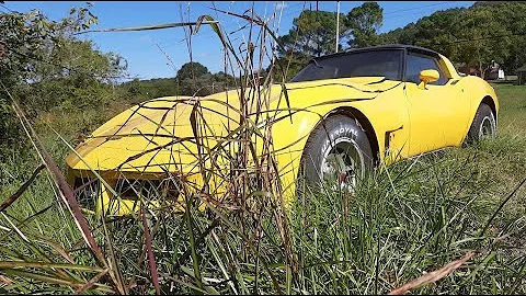 ABANDONED Corvette Stingray Will it Run and Drive? (Already registered in burnout competition!)