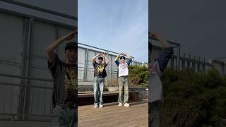 🐻🐶🌀👏🏻 #TEMPEST #템페스트 #혁 #HYUK #LEW #Shorts