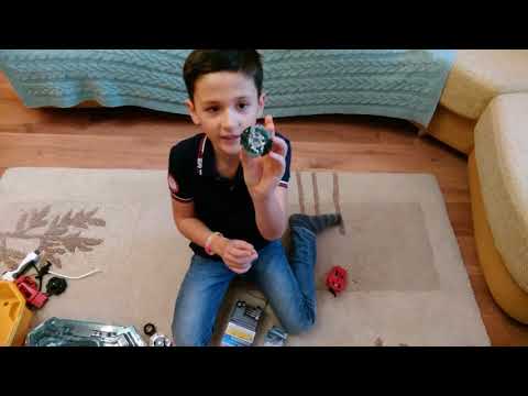 Обзор адской саламандры
