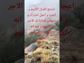  للتواصل مع الشيخ الفقيه 00212637848673  