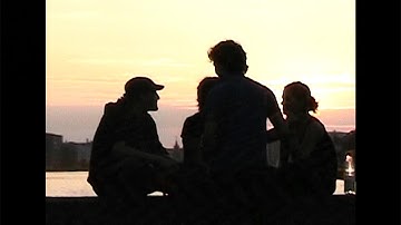 dwig - happy theories (official)