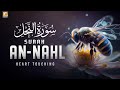 Surah An Nahl سورة النحل Relaxing Heart Touching Marvelous Quran Zikrullah TV 