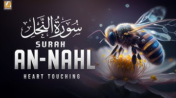 Surah An Nahl (سورة النحل) Relaxing Heart Touching Marvelous Quran | Zikrullah TV