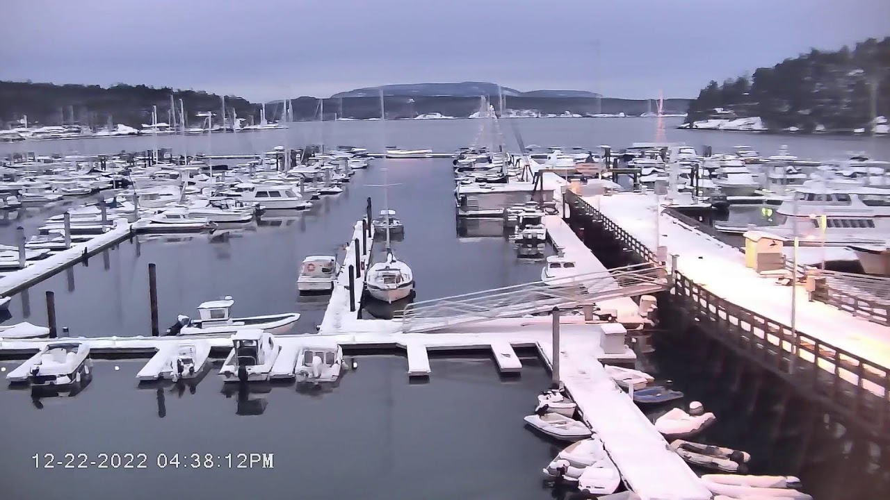 Port of Friday Harbor Marina Live Stream