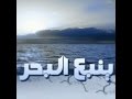 الفن الينبعاوي