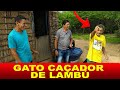 SEU ANTONIO E A HISTÓRIA DO GATO CAÇADOR DE LAMBÚ