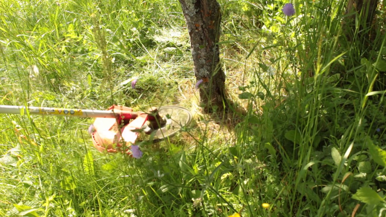 GLAVA ZA MOTORNO NAHRBTNO KOSILNICO KATERA NE POŠKODUJE DEBLA DREVESA, OGRAJE Itd