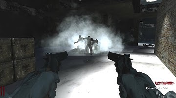 Python Sync Dual Wield - World at War