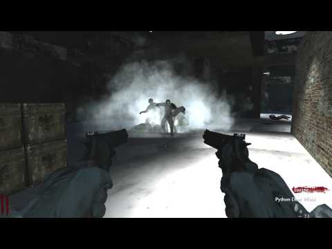 Python Sync Dual Wield - World at War